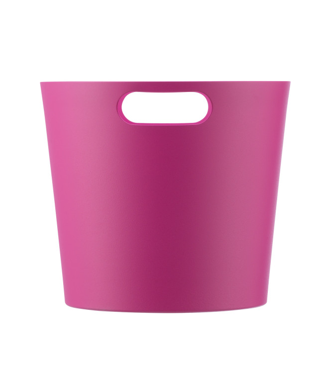 SECCHIELLO CICLAMINO