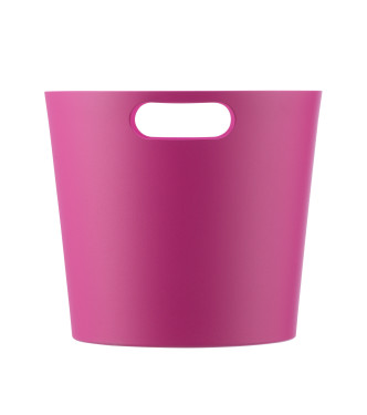 SECCHIELLO CICLAMINO