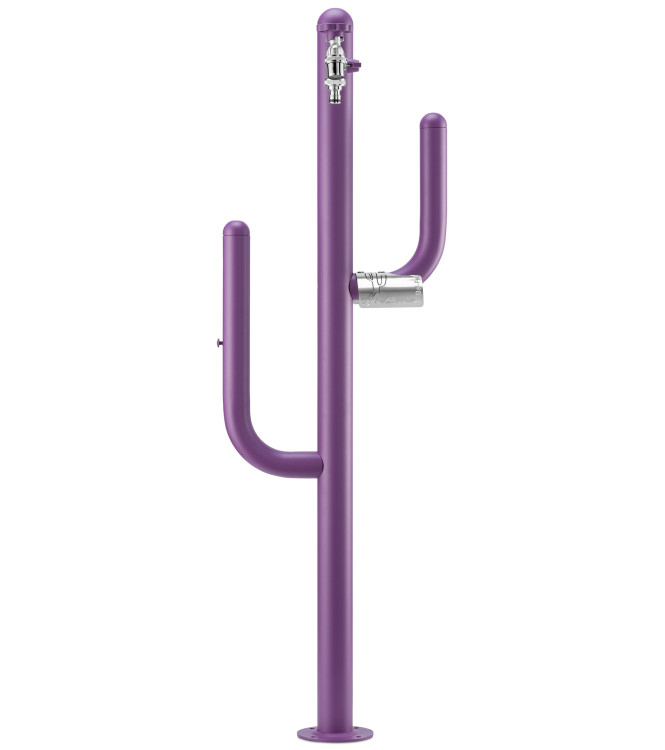 FONTANA ARIZONA VIOLA