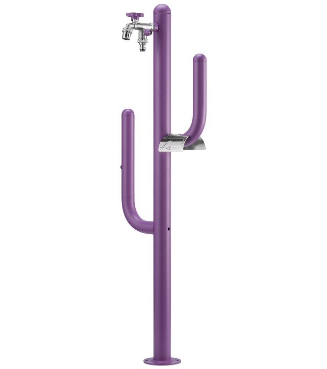 FONTANA ARIZONA VIOLA