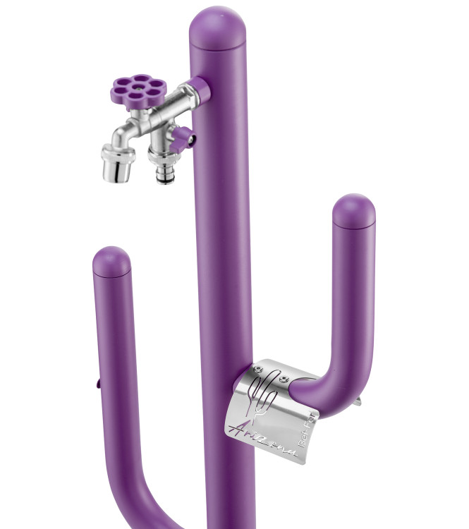 FONTANA ARIZONA VIOLA