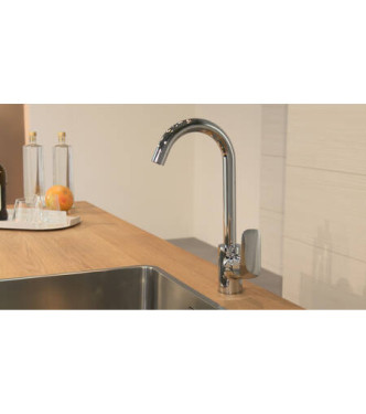 Hansgrohe Logis kitchen mixer - ComfortZone 230, pull-out spout